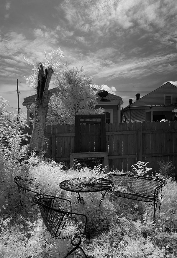Vertical Infrared Panorama of Eclectic Back Yard.